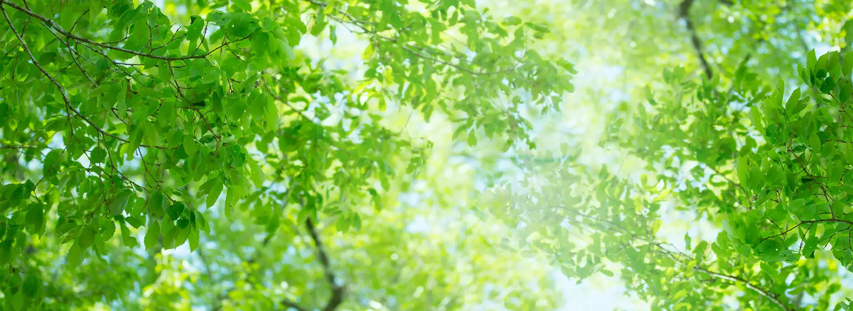 キービジュアルイメージ01